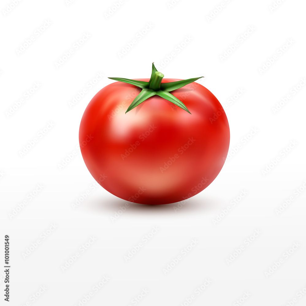 vector tomato isolated on white background vector tomato isolated on white background