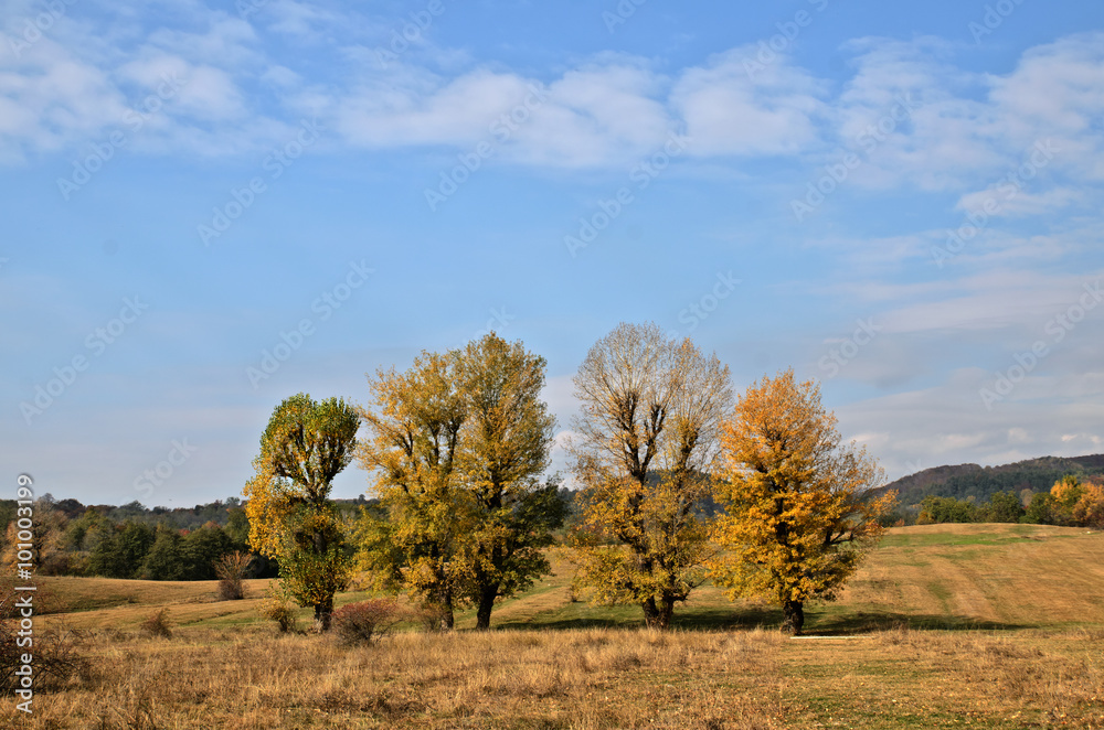 Colorful autumn landscape. Nature background Colorful autumn landscape. Nature background