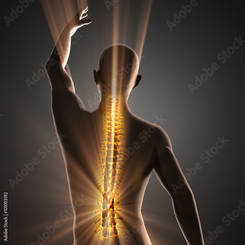 human bones radiography scan image