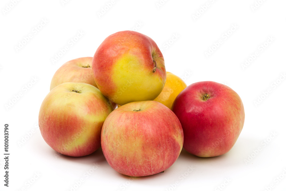 fresh juicy red and yellow apples isolated fresh juicy red and yellow apples isolated