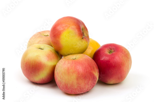 fresh juicy red and yellow apples isolated
