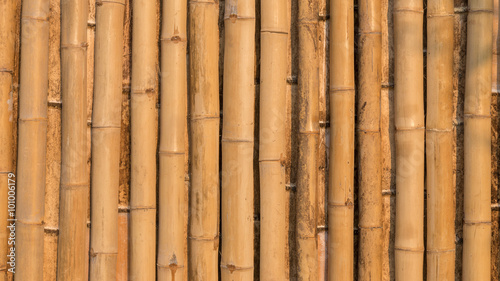 Fototapeta Naklejka Na Ścianę i Meble -  bamboo texture pattern backgroung
