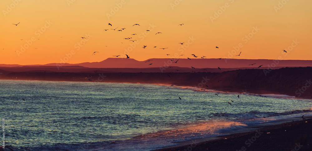 Obraz premium Argentina coast
