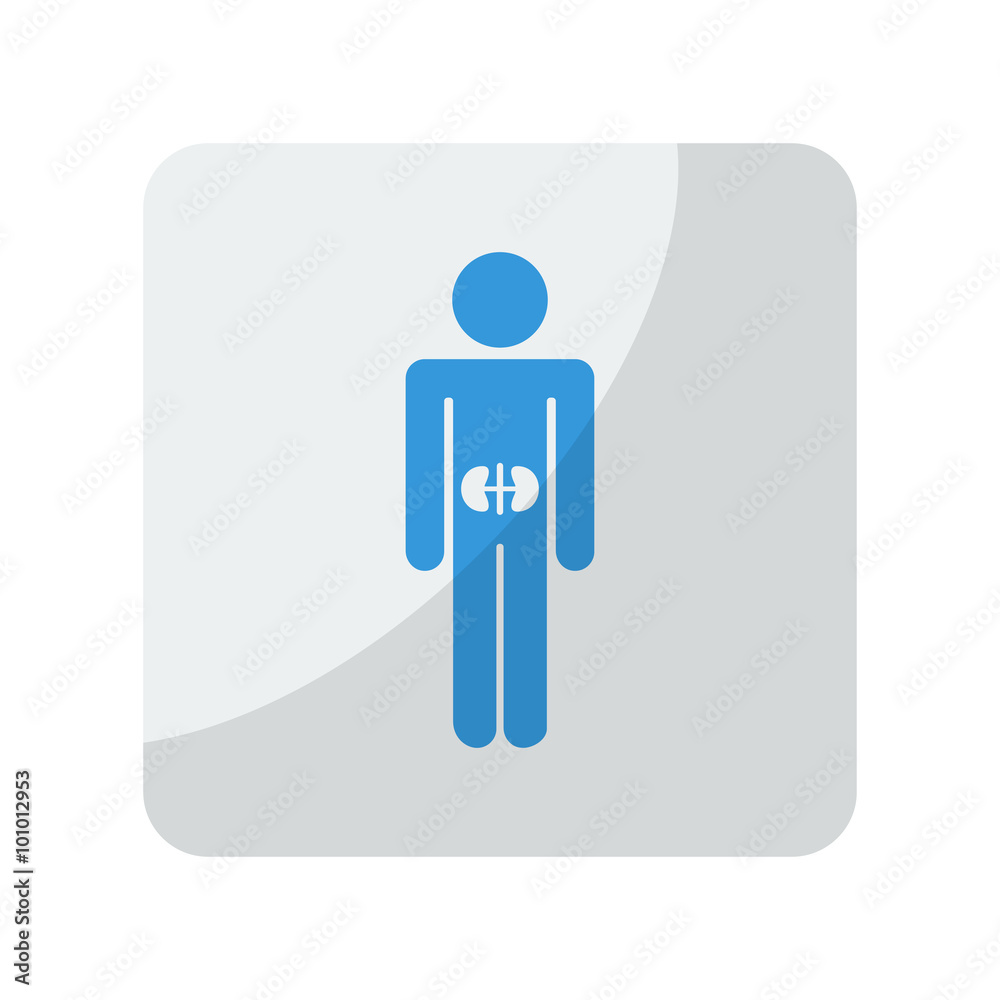 Blue Kidneys icon on grey rounded square button on white Blue Kidneys icon on grey rounded square button on white