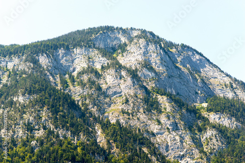 Mountain with green trees