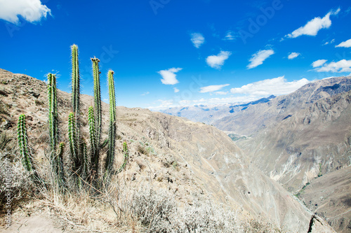 landscape Peru © Pakhnyushchyy