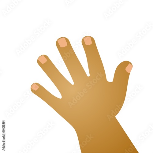 Ilustración aislada de mano de una persona latina