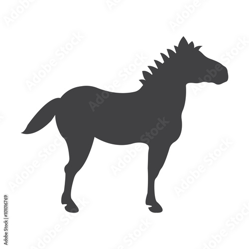 pony black simple icon on white background for web