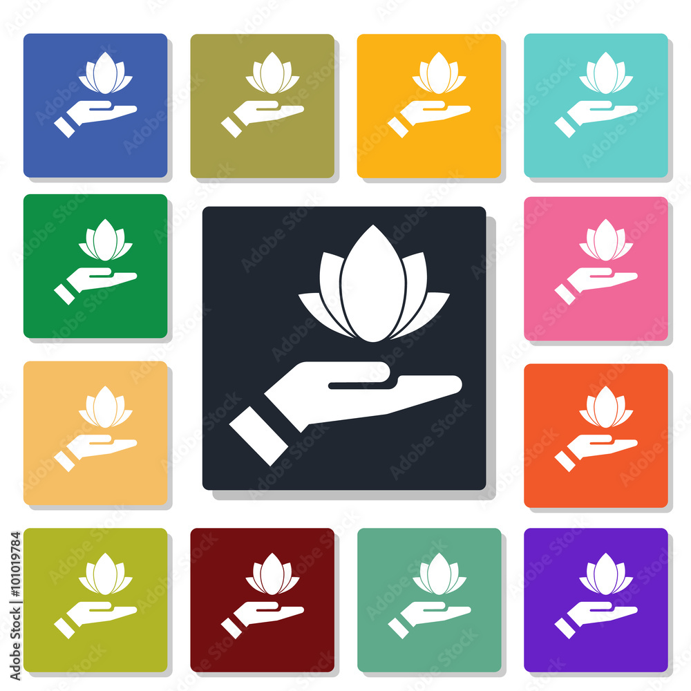 lotus icon lotus icon