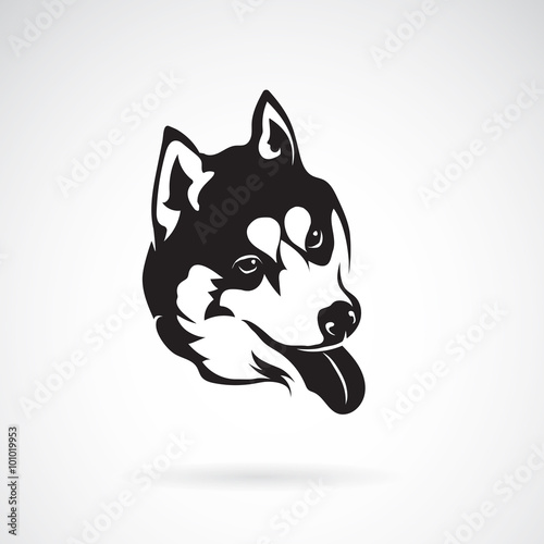 Vector image of a dog siberian husky on white background