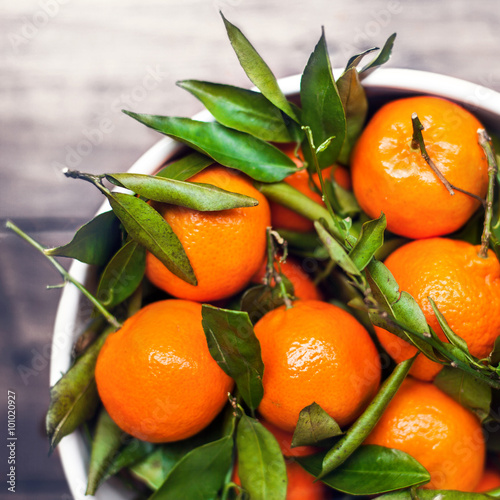 Fresh picked tangerine clementines in white bowl with copy space