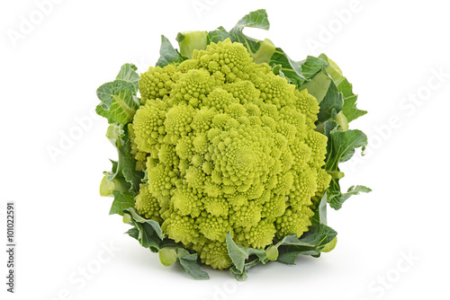 broccolo verde romanesco