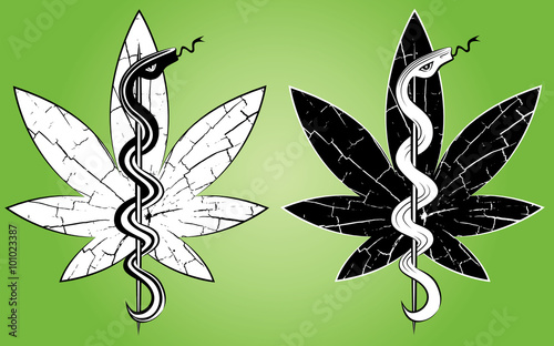 Cannabis leaf with medical snake symbol vector illustration