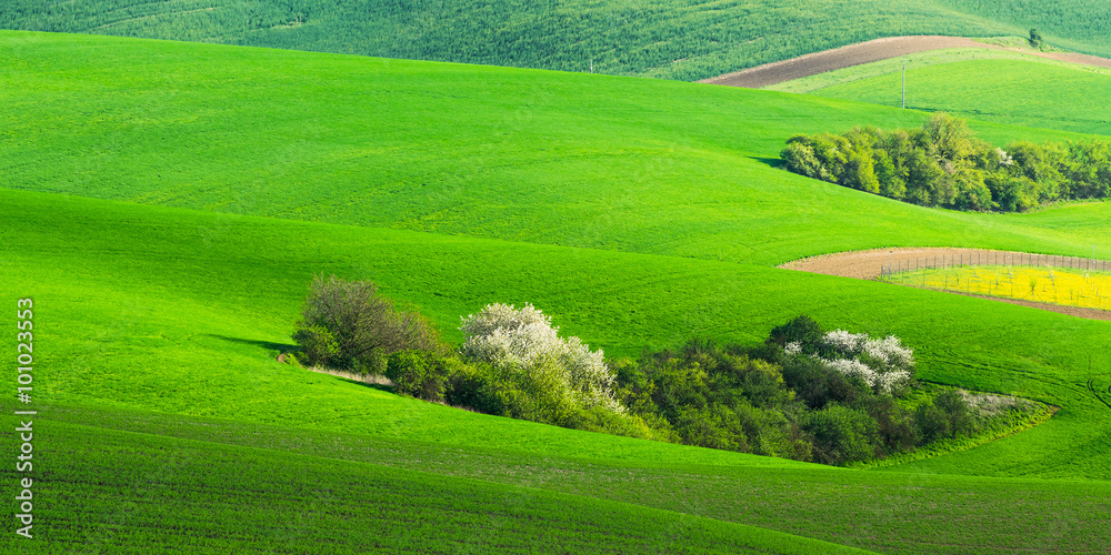 Agricultural landscape