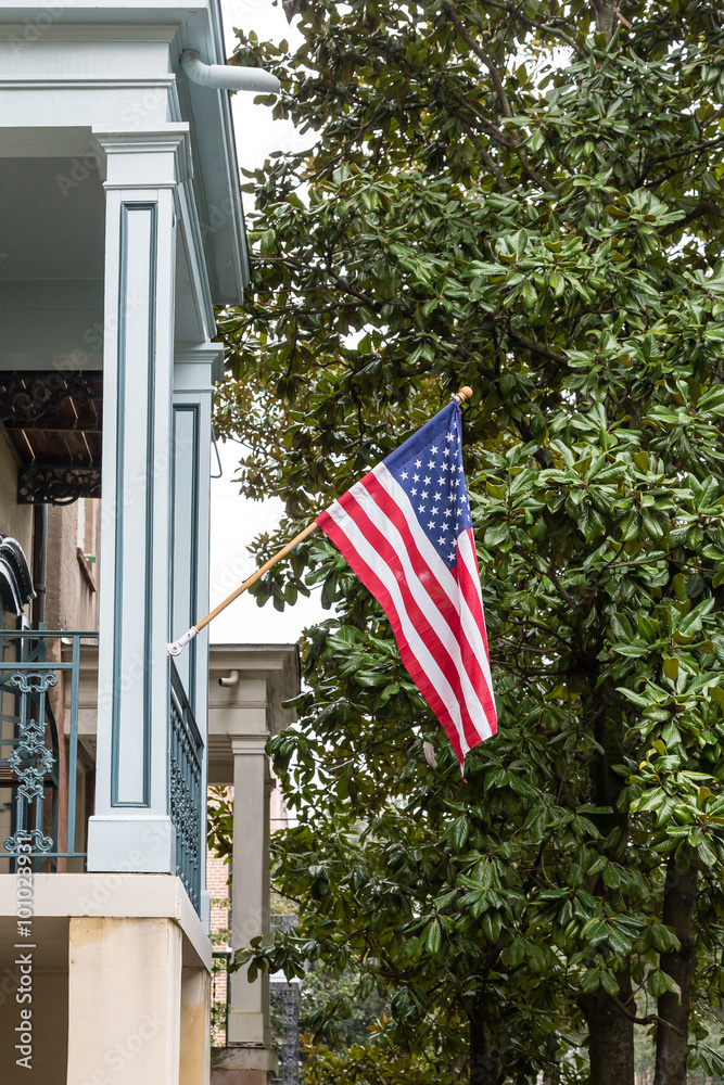 Traditional southern homes with American flags