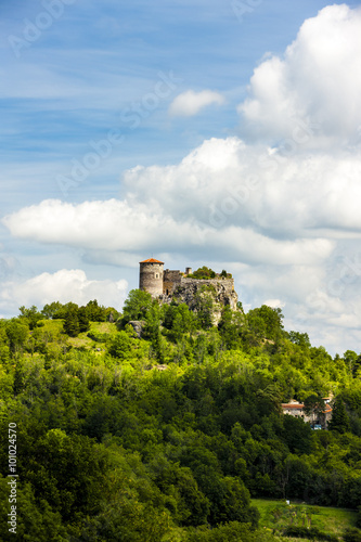 Busseol Castle  Puy-de-Dome Department  Auvergne  France