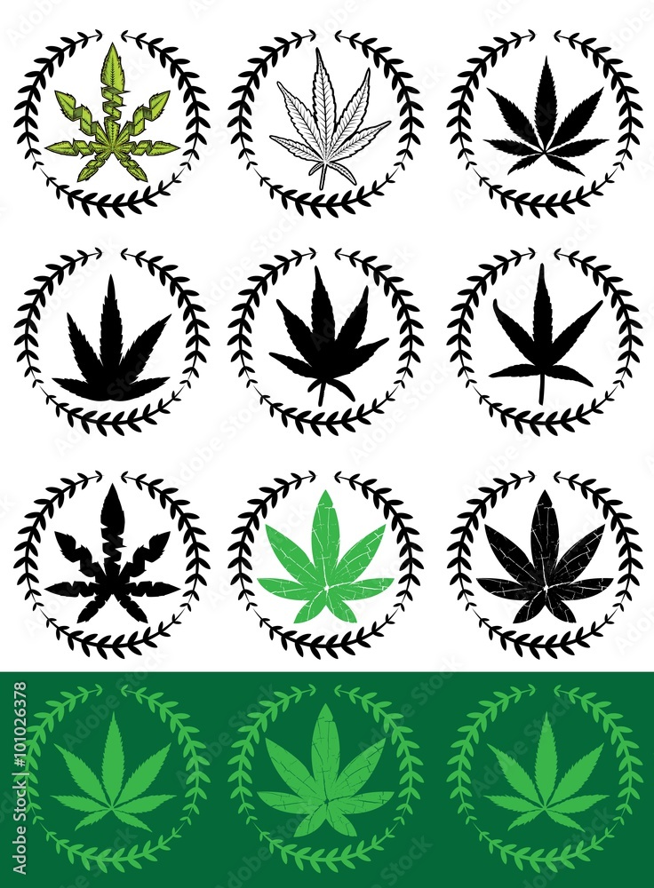marijuana cannabis leaf vector illustration