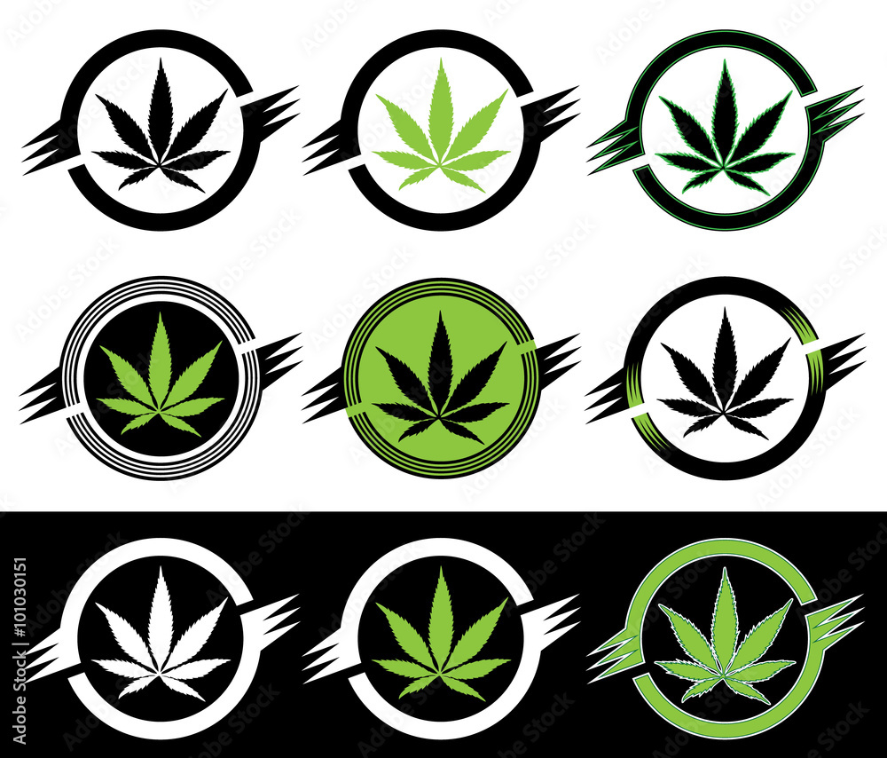 cannabis sativa indica green leaf vector illustration cannabis sativa indica green leaf vector illustration