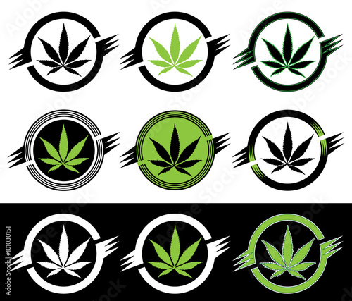 cannabis sativa indica green leaf vector illustration