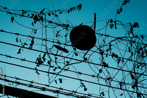 Photos wire background