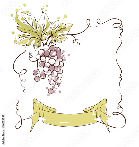 Wine label with a bunch of grapes and ribbon, vector illustration.