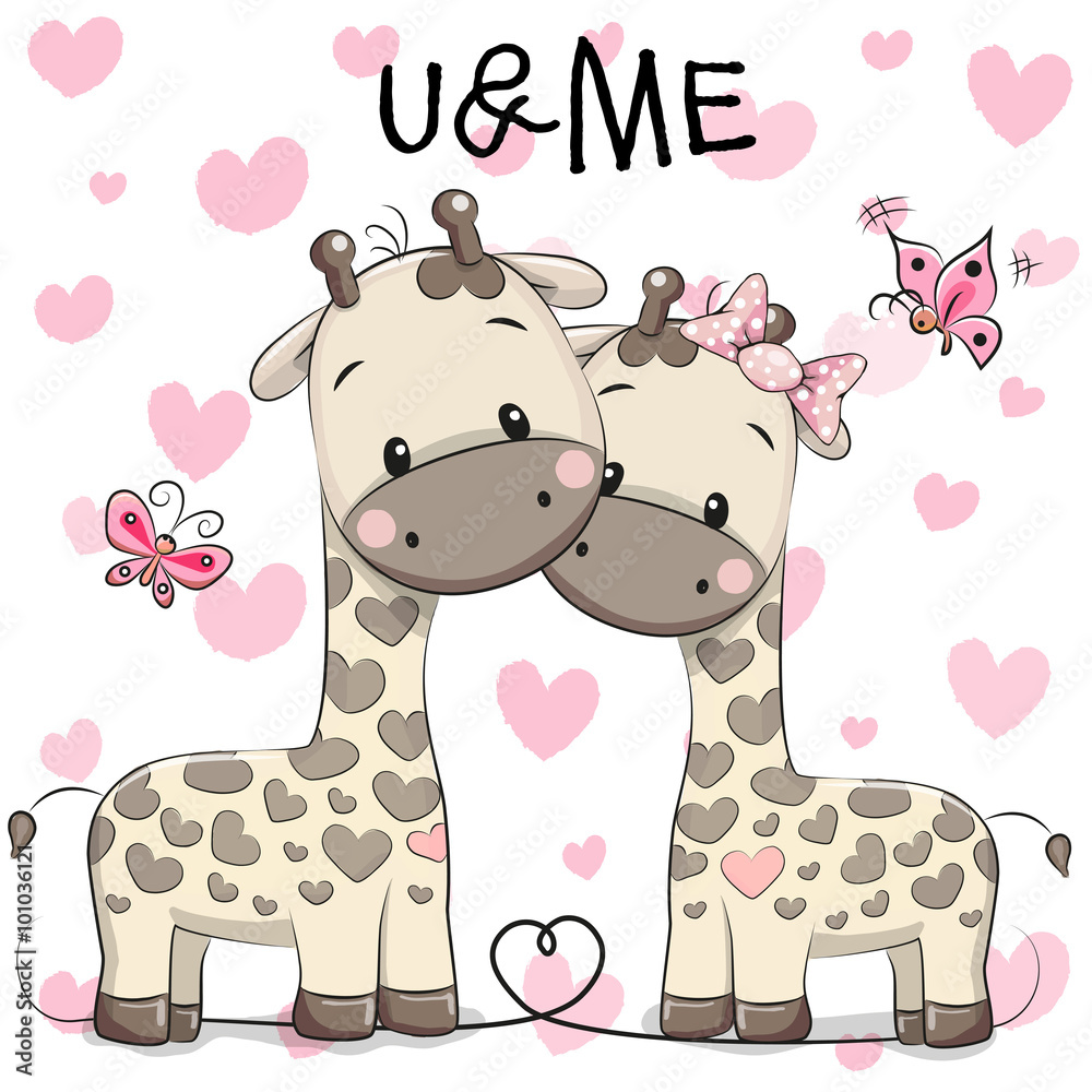 Obraz premium Two cute giraffes