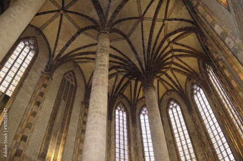  palm  inside  the Church of Jacobins in Toulouse  France