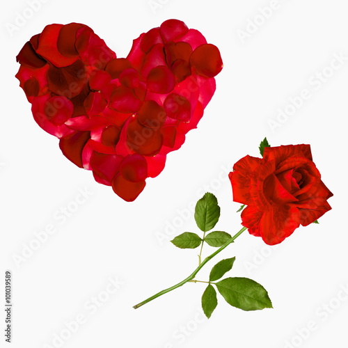 red  rose petal heart  valentine