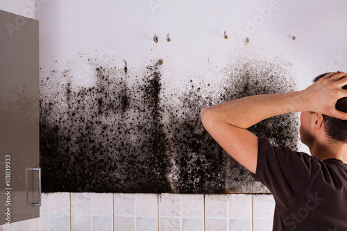 Man shocked to mold a kitchen cabinet. photo