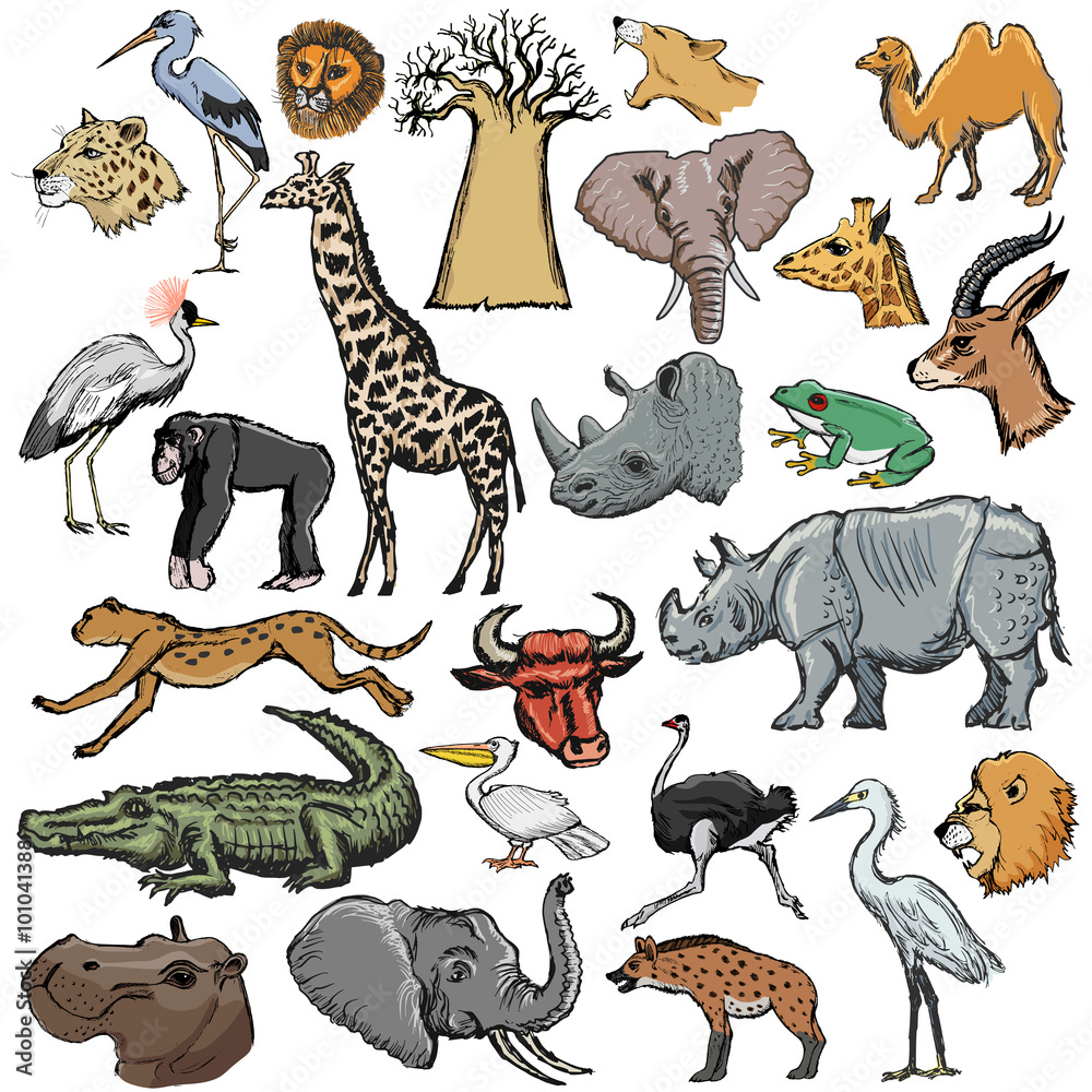 Obraz premium set of animals with elephant, crocodile, lion, rhinoceros, giraf