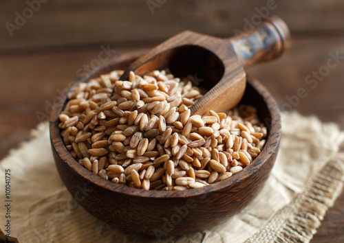 Uncooked whole spelt in a bowl with a wooden spoon