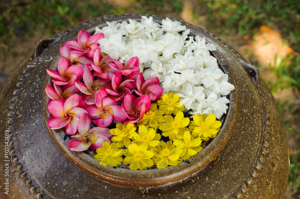 Vivid flowers perfume sales