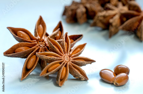  Star Anise photo