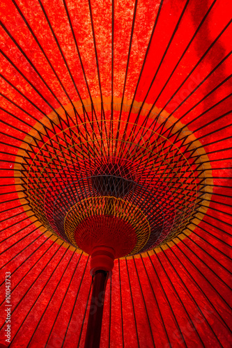 Japanese Traditional Umbrella Detail 