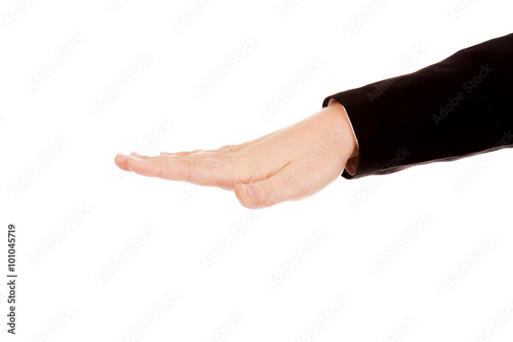 Business woman hand gesture of an opened palm Business woman hand gesture of an opened palm