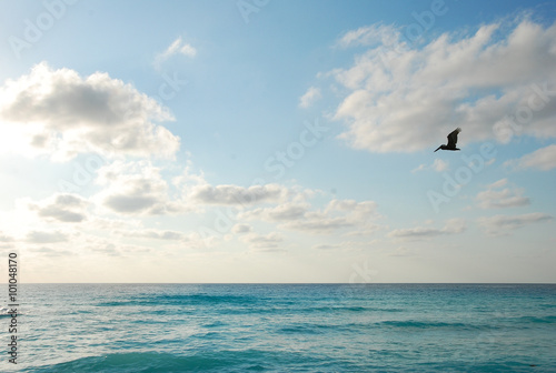 The beautiful seaside scenery in Cuncan  Mexico