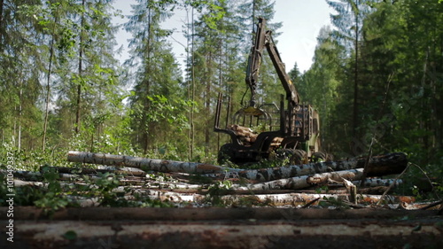 Feller Buncher drives through clearing in forest photo