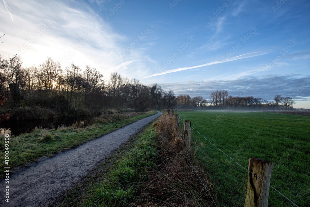 Foggy morning landscape