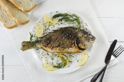 baked dorado on a plate on a white background with a lemon dill