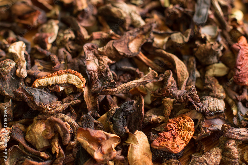 Background of dried mushroom Background of dried mushroom