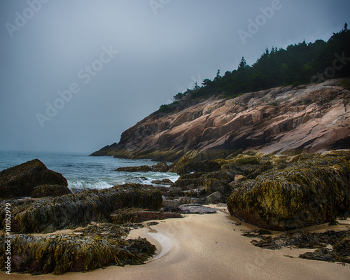 Foggy morning at Acadia National Park