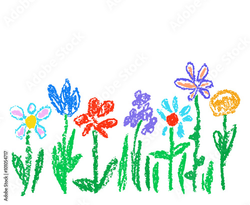 Wax crayon kid`s drawn colorful flowers isolated on white. Child`s drawn pastel chalk blooming flowers set. Cute of kid`s painting spring flowering meadow. Vector hand drawing background banner. photo