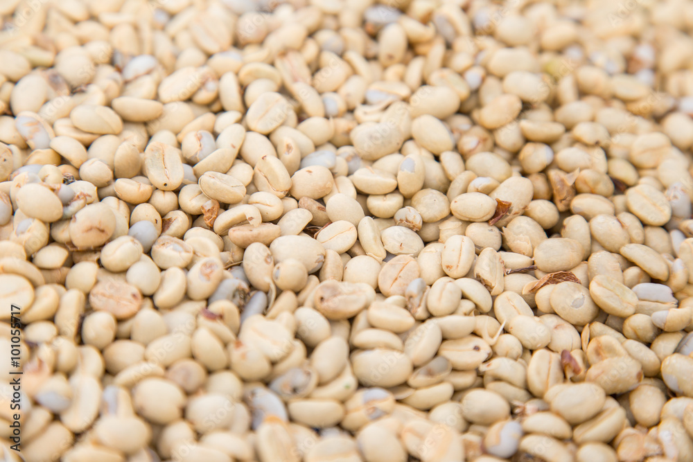 un-roasted coffee beans heap with shallow depth of field