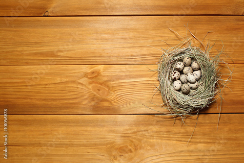 The composition of quail eggs lying in a nest of grass on a panel of vintage brown boards with free space for text advertising of food or restaurant menu design.