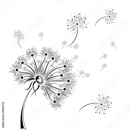 Fototapeta Naklejka Na Ścianę i Meble -  Hand draw dandelion. African / indian / floral / tattoo design. It may be used for design of a t-shirt, bag, postcard and poster.