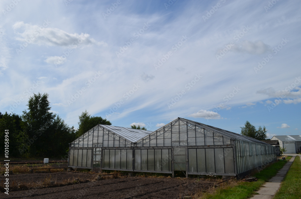 Greenhouses and meadow separated by concrete cart track