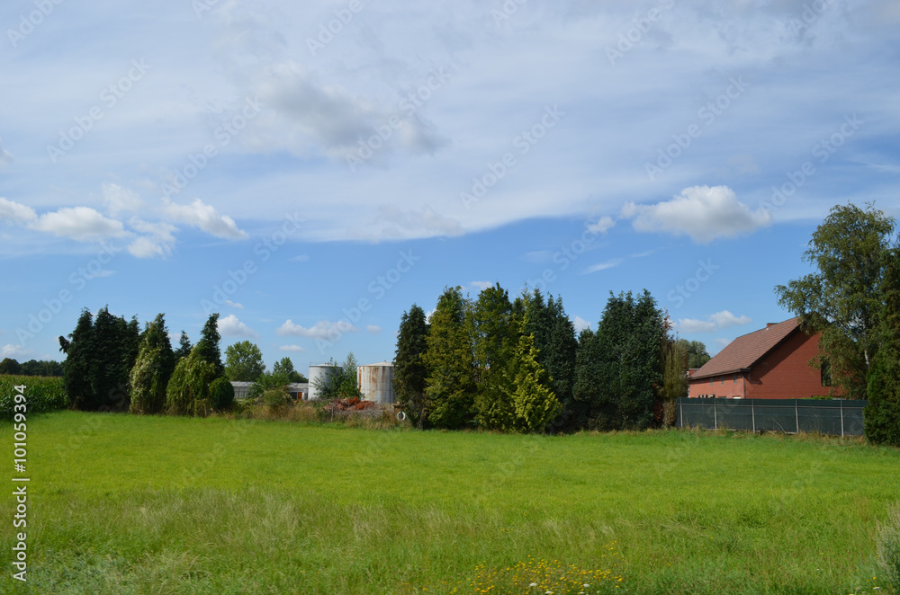 Rich green meadow in rural Flanders