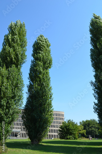 Green park with tall trees at the university of Brussels, with modern ellips formed building photo