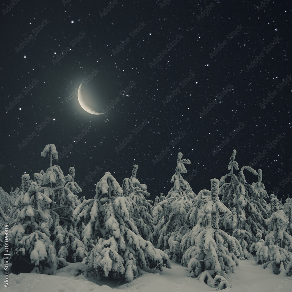 Obraz premium Beautiful winter nature landscape, trees covered snow