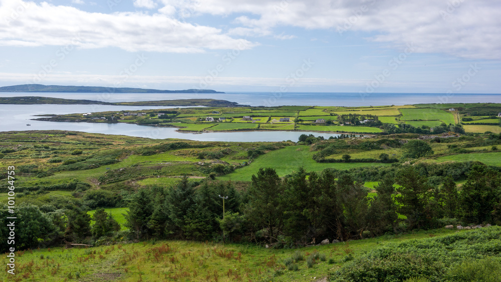 Irish green landscape